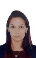 Lisbeth Vanessa Castillo Custodio