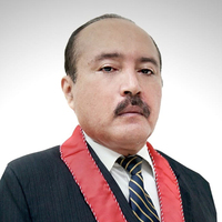 Elmer Francisco Temoche