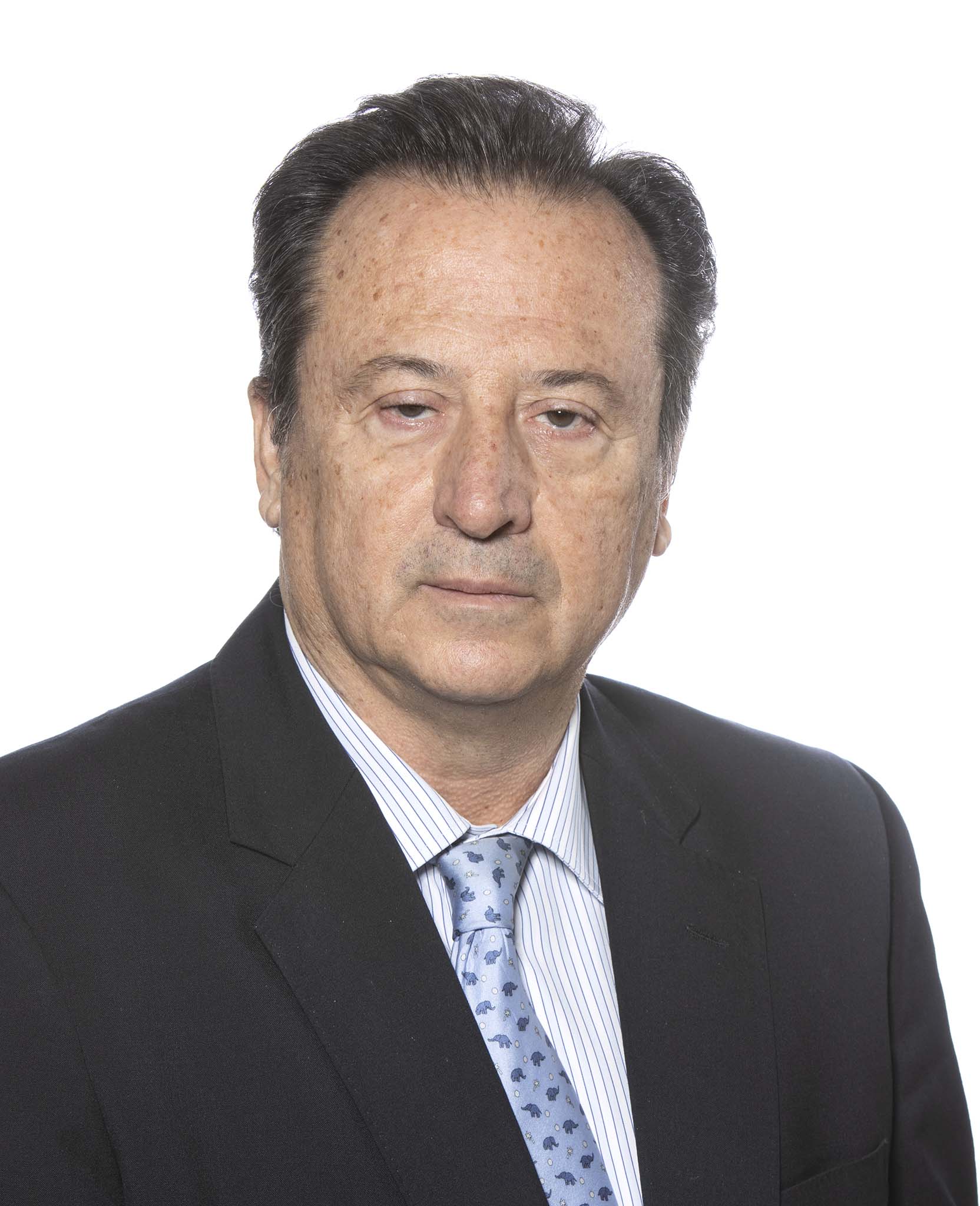Fernando Baselga Laucirica