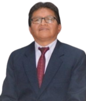 Raúl Vidal Porras