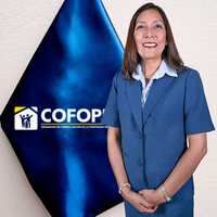Lourdes Irene Celestino Torres