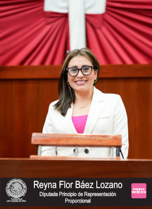Reyna Flor Báez Lozano