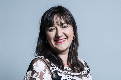 Baroness Anderson Of Stoke-On-Trent