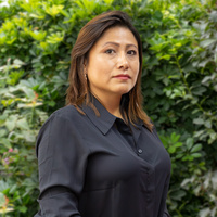 Karen Lesley Meza Postigo