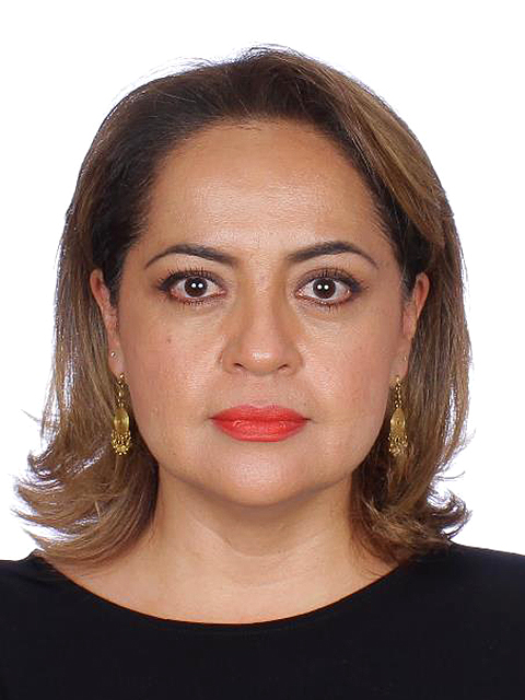 Ana Lilia Herrera Anzaldo