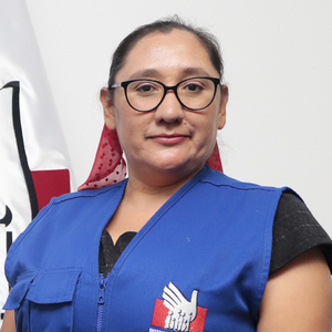 Lizbeth Wally Yllanes Nauca