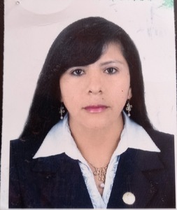 Apaza Quispe Vilma