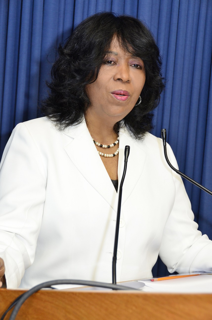 Mabel Y. Féliz Báez