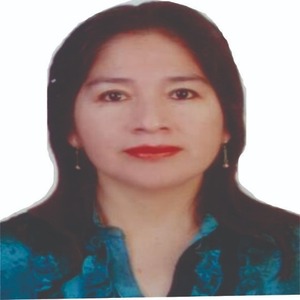Haydee Elena Villafan Medina