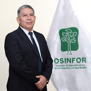 Gustavo Artica Cuyubamba