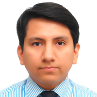 Alexis Nelson Gamarra Flores