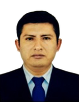 Elvis Elias Vallejos Bautista