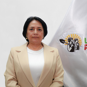 María Elvira Gonzales Barbadillo