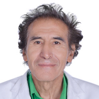 Carlos Huanqui Guerra