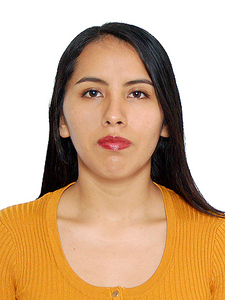 Yaneth Arce Silgueron