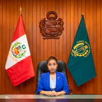 Norma Rosa Marchan Morquencho