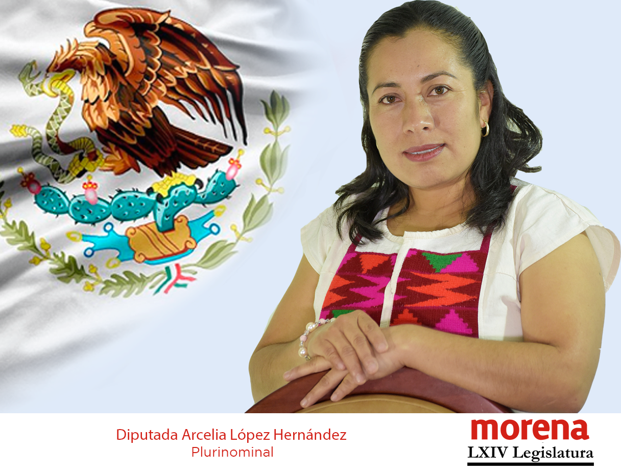 Arcelia López Hernández