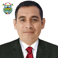 Nilss Ochoa Limay