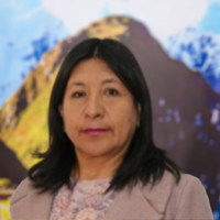 Maria Violeta Casapino Mujica