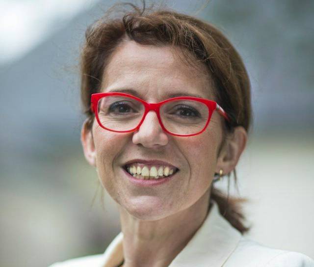 Annaïg Le Meur-Roux