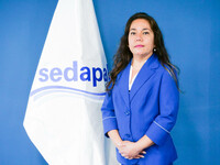 Carmen Chumioque Mogollón