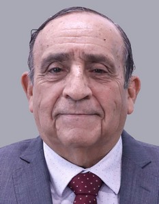 Francisco Javier Velázquez Vallejo