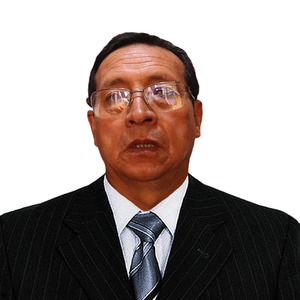 José Basurto Flores
