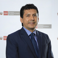 Walter Orlando Puelles Navarrete