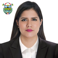 Nimia Yaneth Villa Fernández