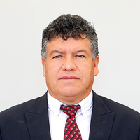 Yony Gualberto Salas Flores