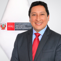 David Humberto Mendoza Ramirez