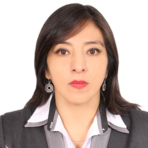 Evelyn Saez Mollehuara