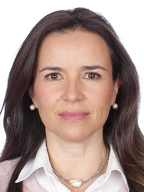 Mirza Flores Gómez