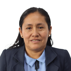Tufinio Culquichicon Mirian Isabel