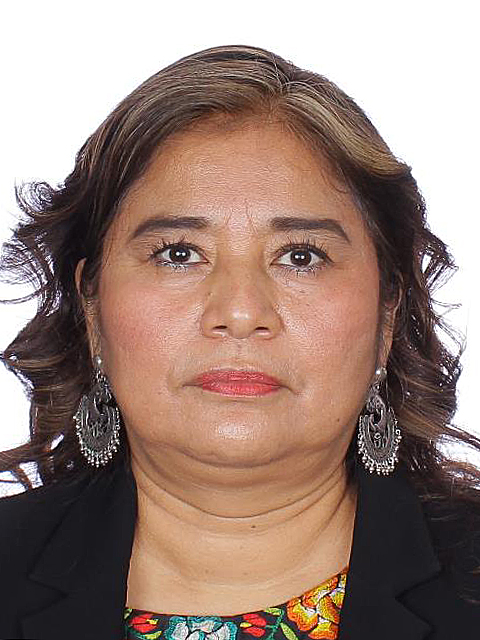 Rosalinda Domínguez Flores