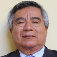 Roberto Esteban Gibson Silva