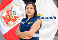 Irma Carrillo Yapuchura