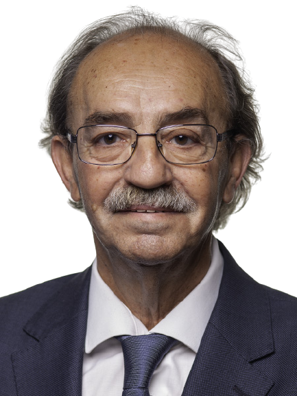 António André Da Silva Topa