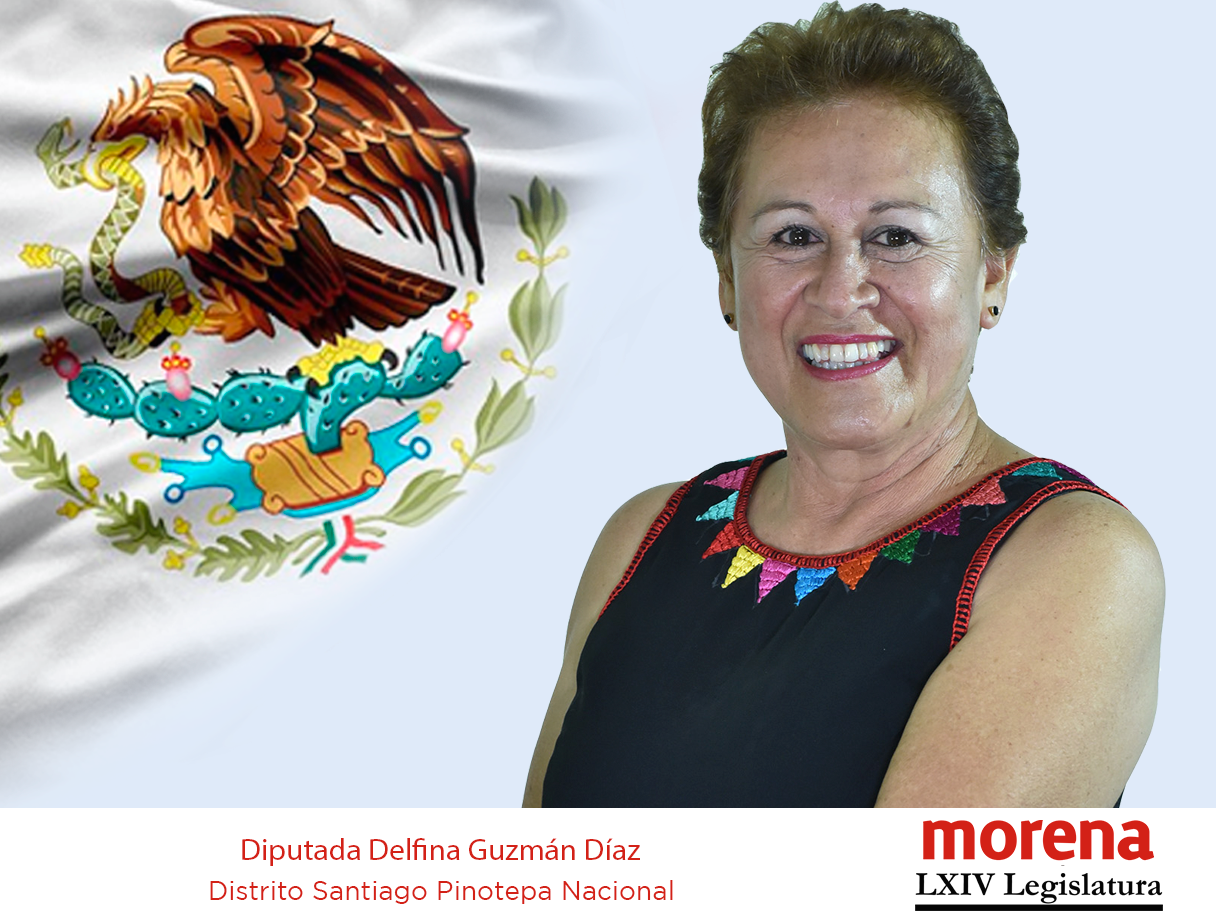 Delfina Elizabeth Guzman Díaz