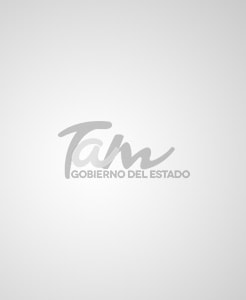 Yahleel Abdala Carmona