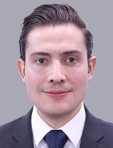 David Alejandro Cortes Mendoza