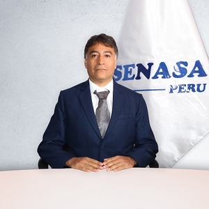 Rommel Alberto Vargas Manrique