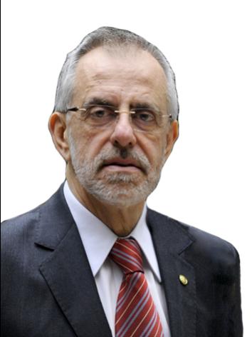 Jose Carlos Stangarlini