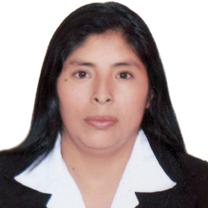 Elsa Castro Chauca