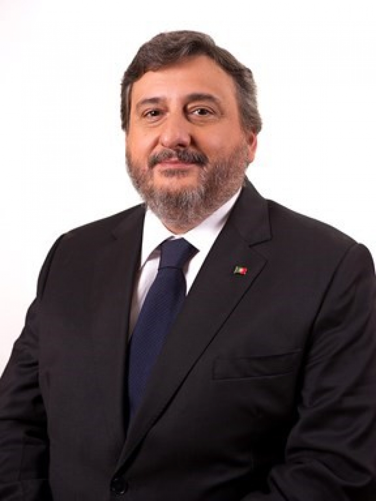 Luís álvaro Campos Ferreira