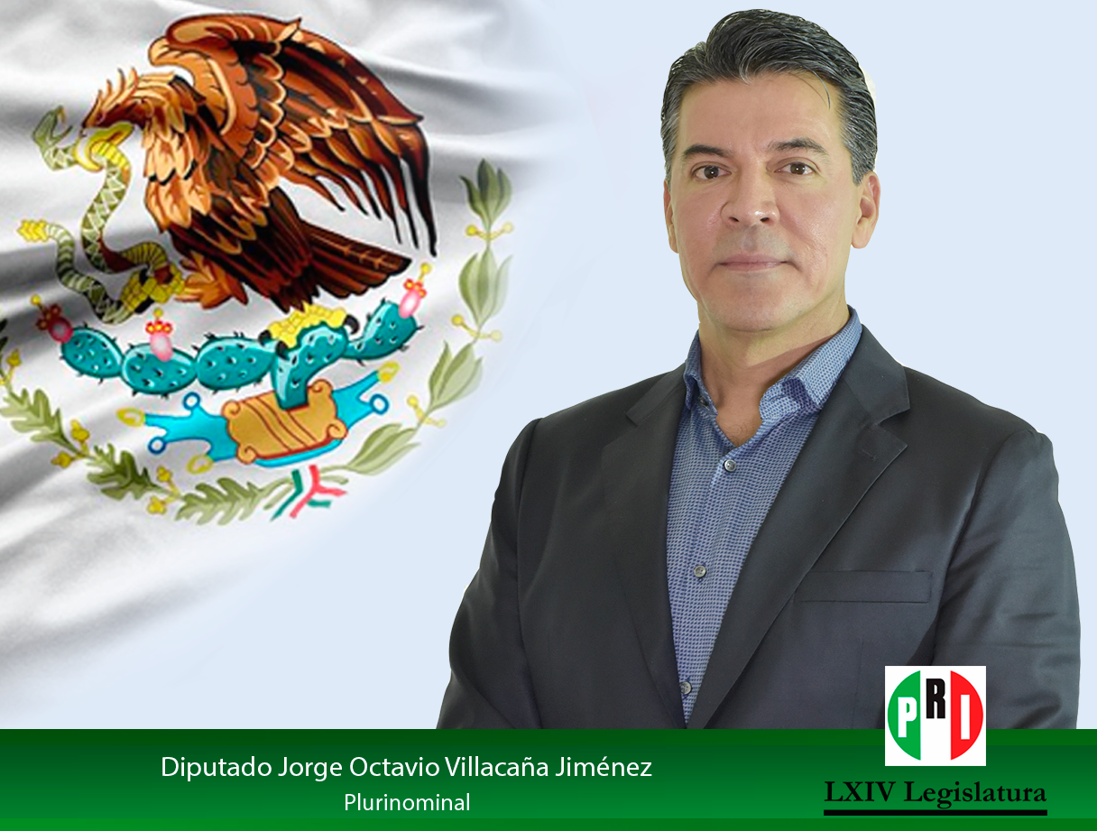 Jorge Octavio Villacaña Jiménez