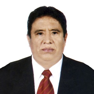 Tomas Teófilo Arias Llana