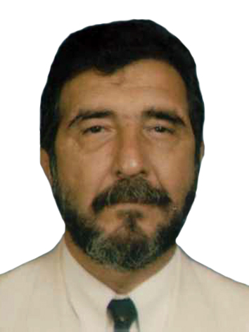 Domingos Leonelli Netto