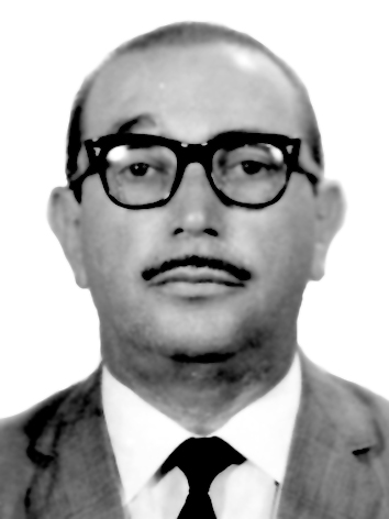 Raul Brunini Filho