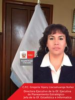 Gregoria Yojany Llacsahuanga Nuñez